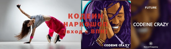 индика Аркадак