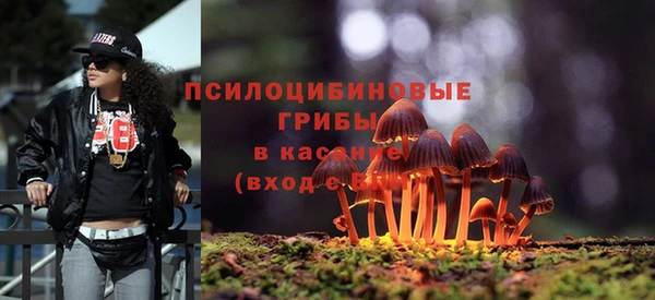 амф Балахна